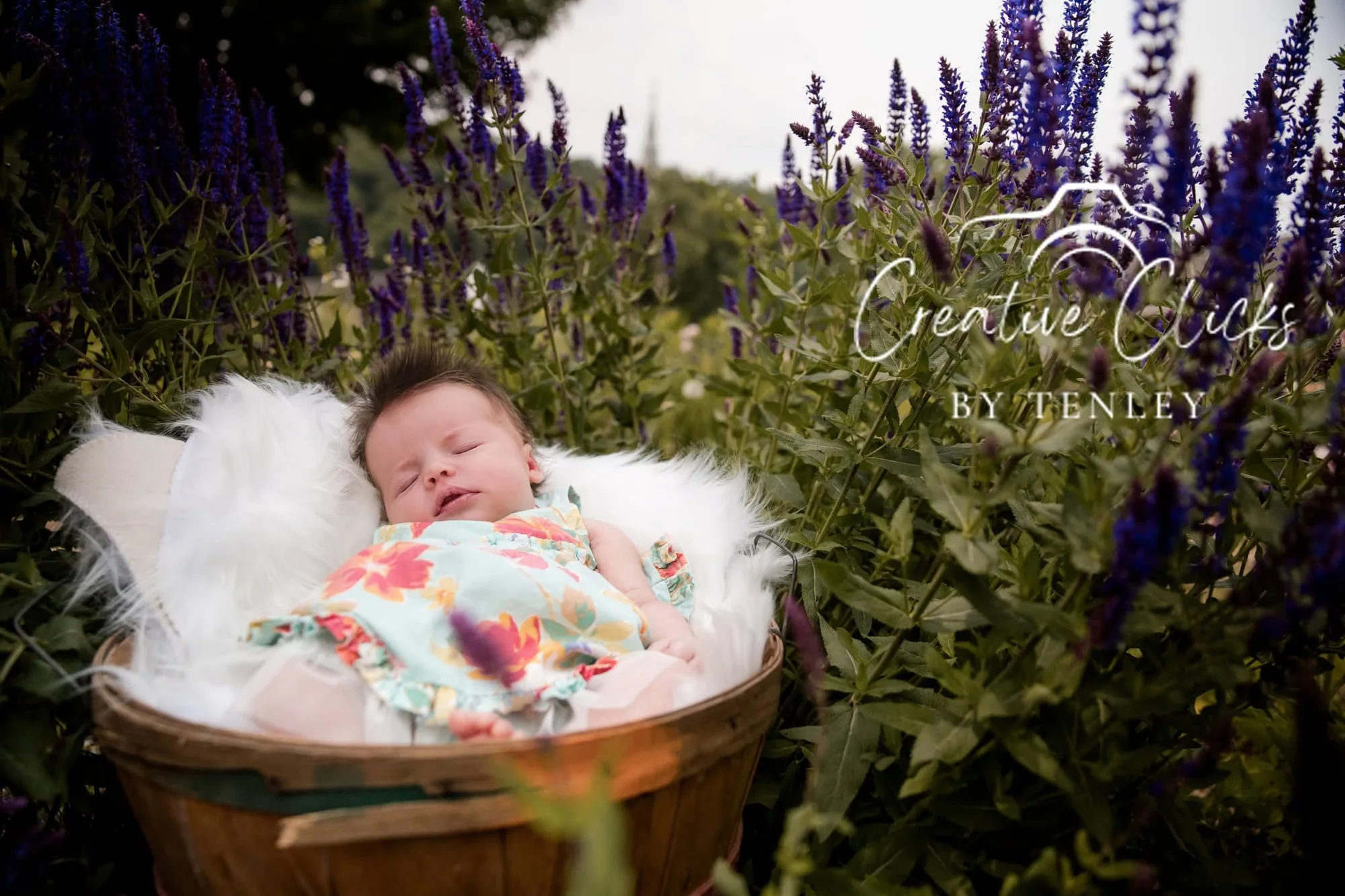 Family photograph 6 by Creative Clicks by Tenley